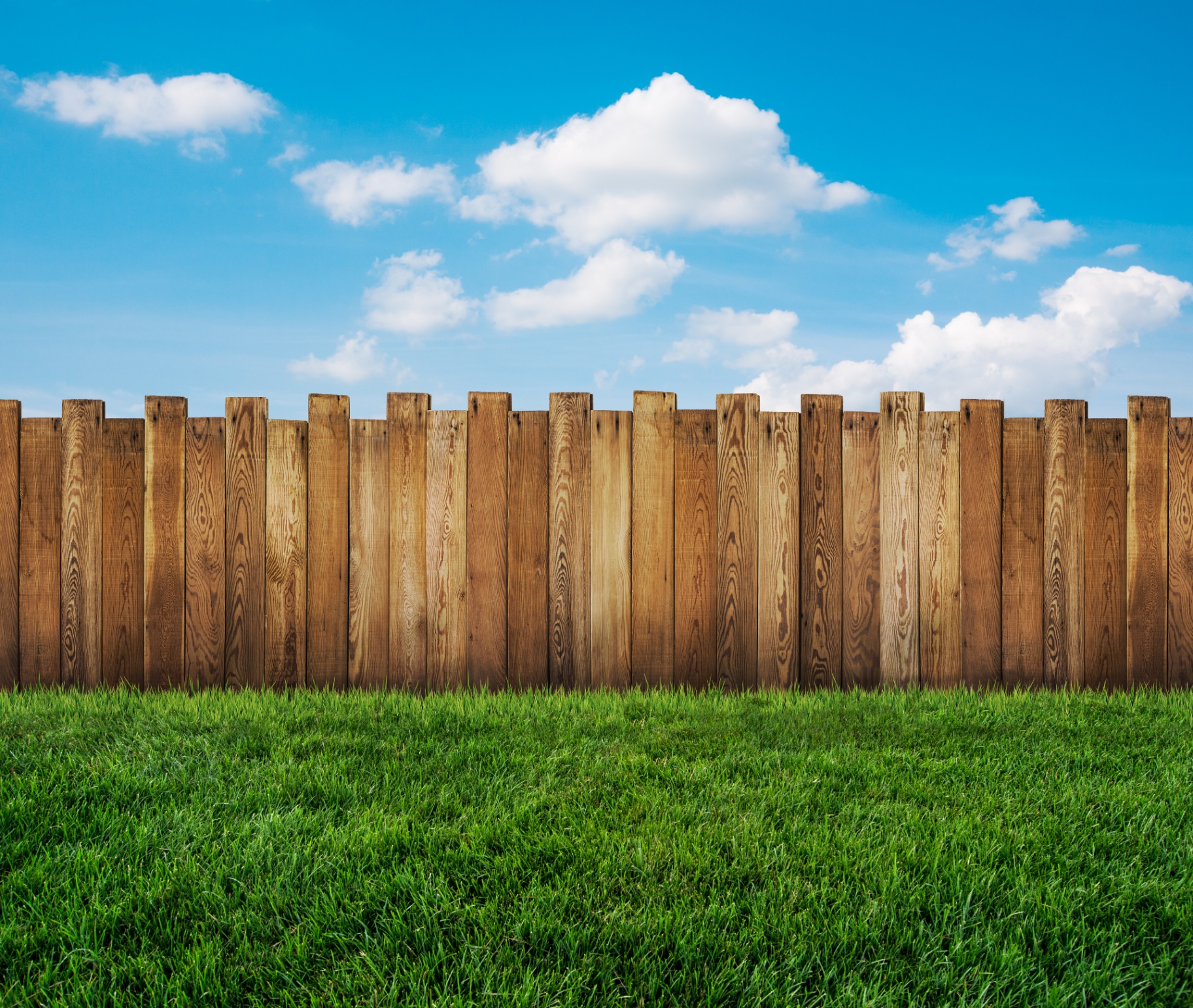 Well-maintained lawn with wooden fence and blue sky